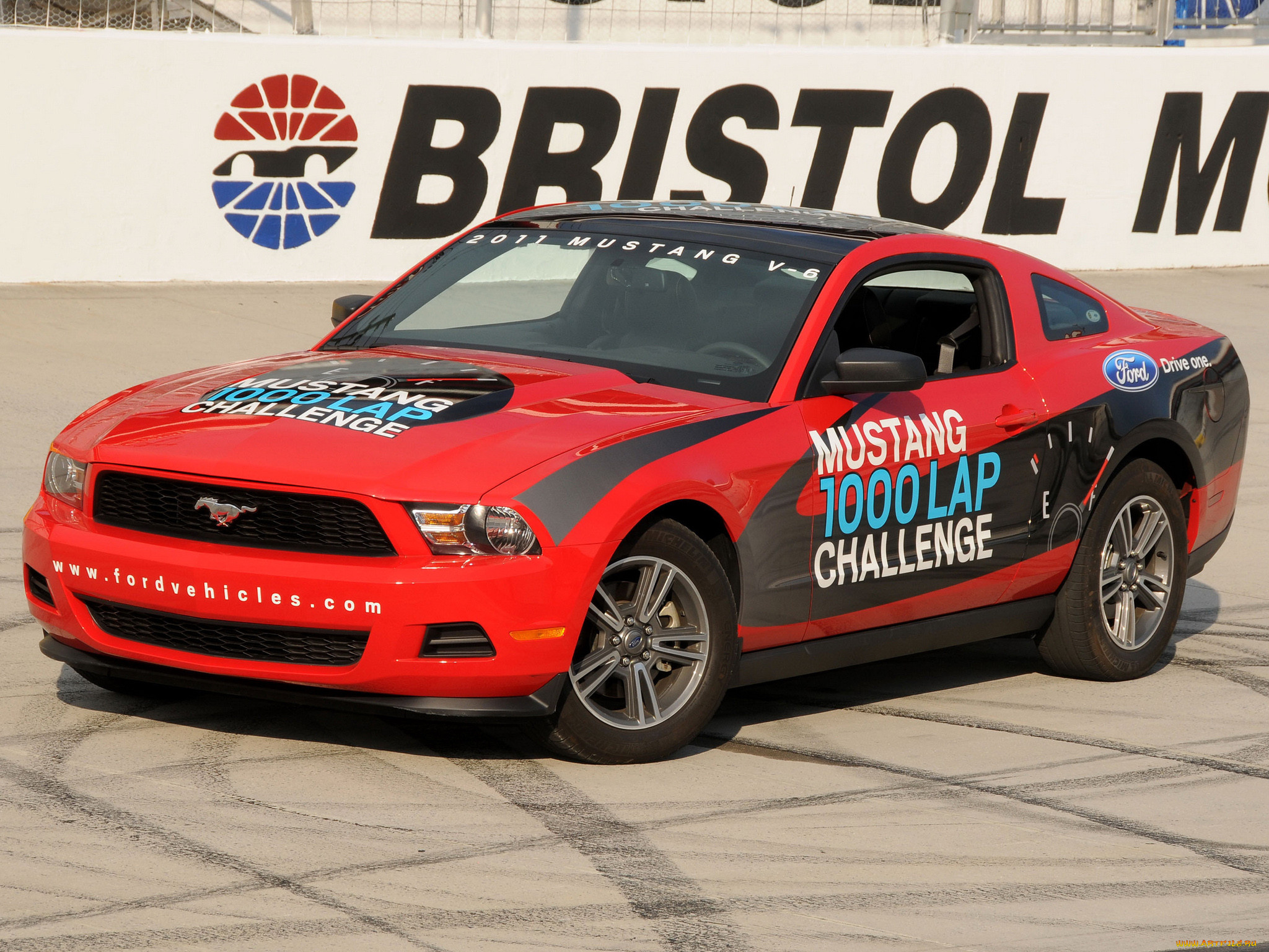, mustang